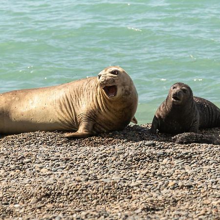 La Elvira Natural Lodge Nature & Wildlife Experience In Peninsula Valdes Punta Delgada Exterior foto